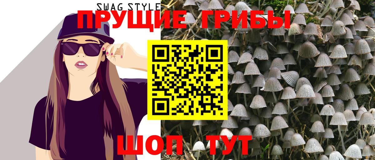 Галлюциногенные грибы Psilocybine cubensis Мыски